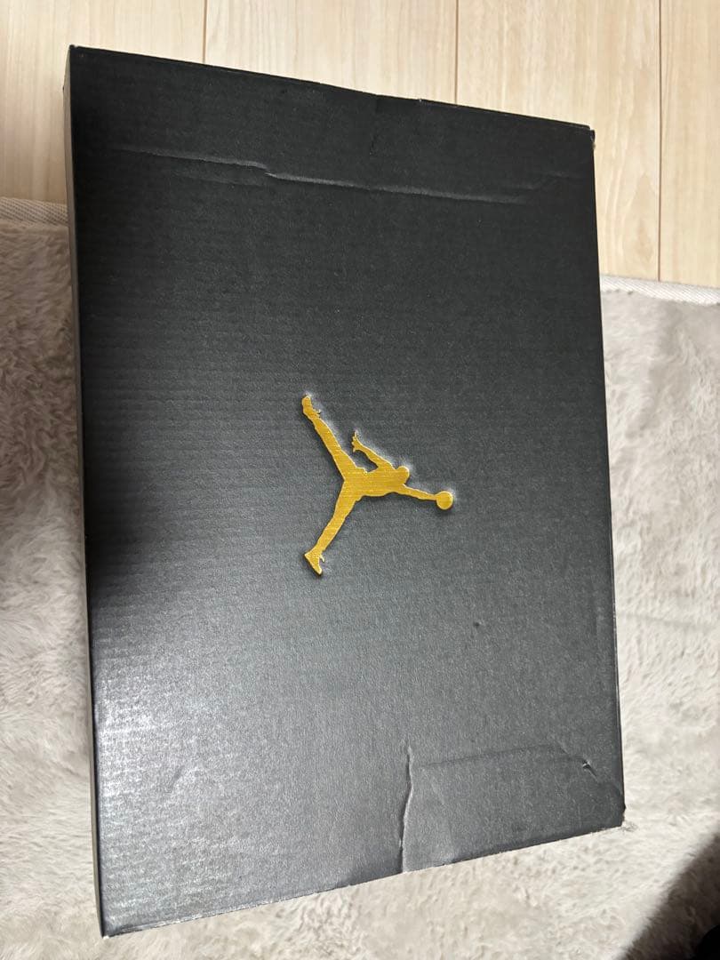 エアジョーダン ミュール