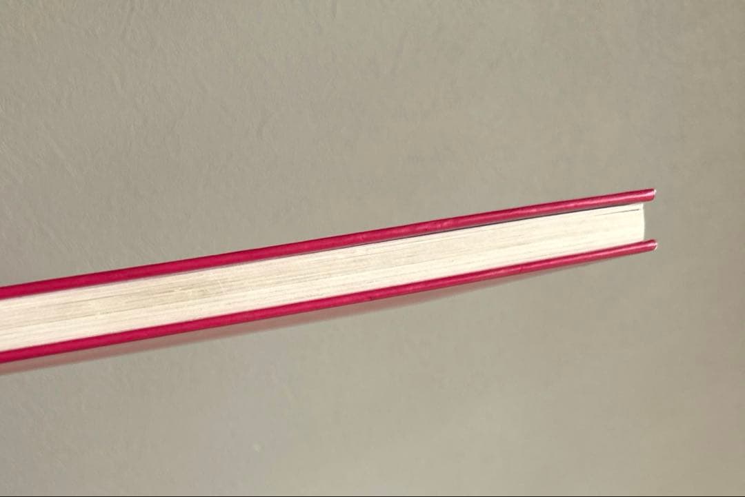 希少 ANDY WARHOL Watercolour アンディ・ウォーホル 画集