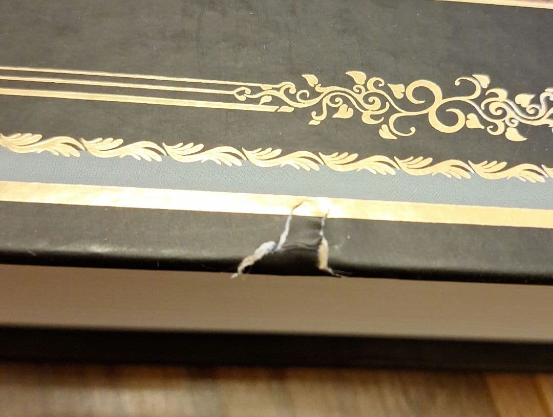 L. N. トルストイ 戦争と平和 (ロシア語) イラスト付き版