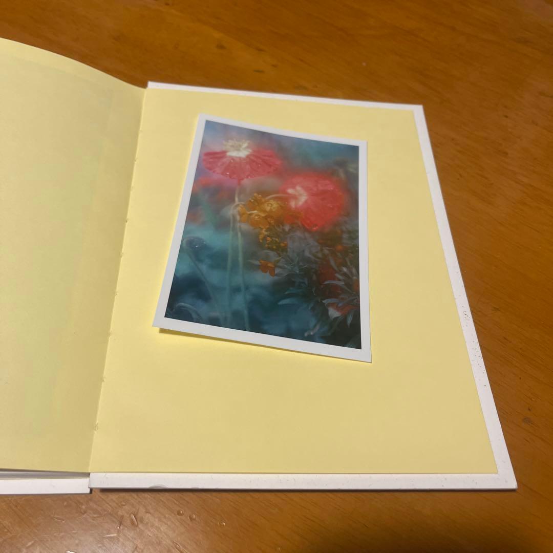 アート・デザイン・音楽 The Autumns of Spring - Jordan Sullivan