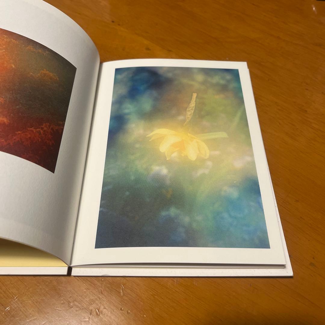 アート・デザイン・音楽 The Autumns of Spring - Jordan Sullivan