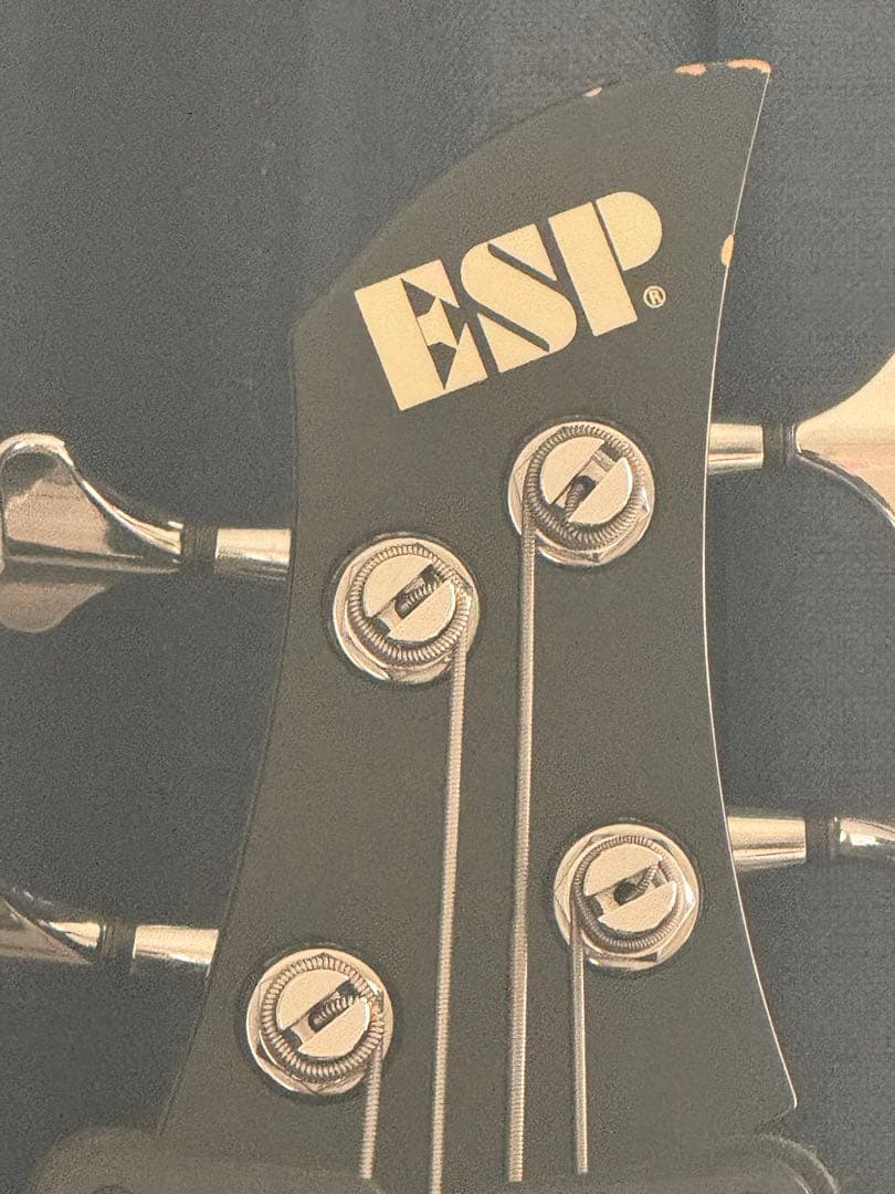 SALE【中古品】即購入歓迎　ESP RF-00※ハードケース無し