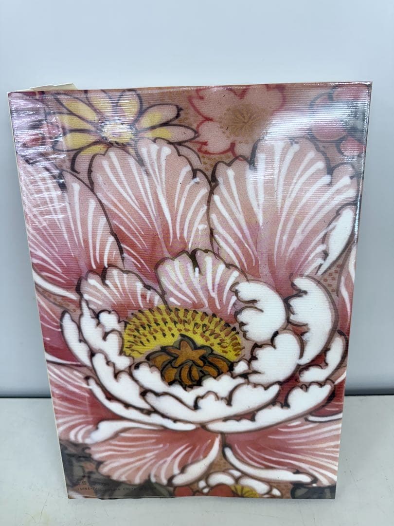 九谷の文様 ワイド版