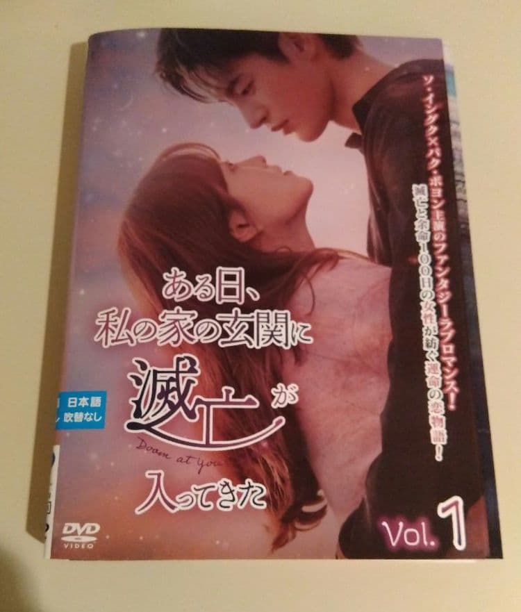 韓国ドラマ　ある日、私の家の玄関に滅亡が入ってきた　dvd 全巻