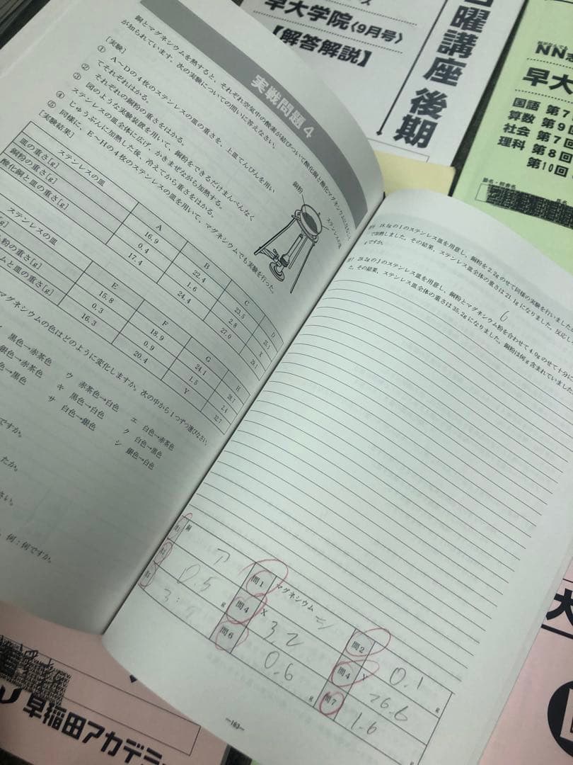 早稲田アカデミー　NN早大学院　日曜/夏期/正月/直前/副教材　2025年受験