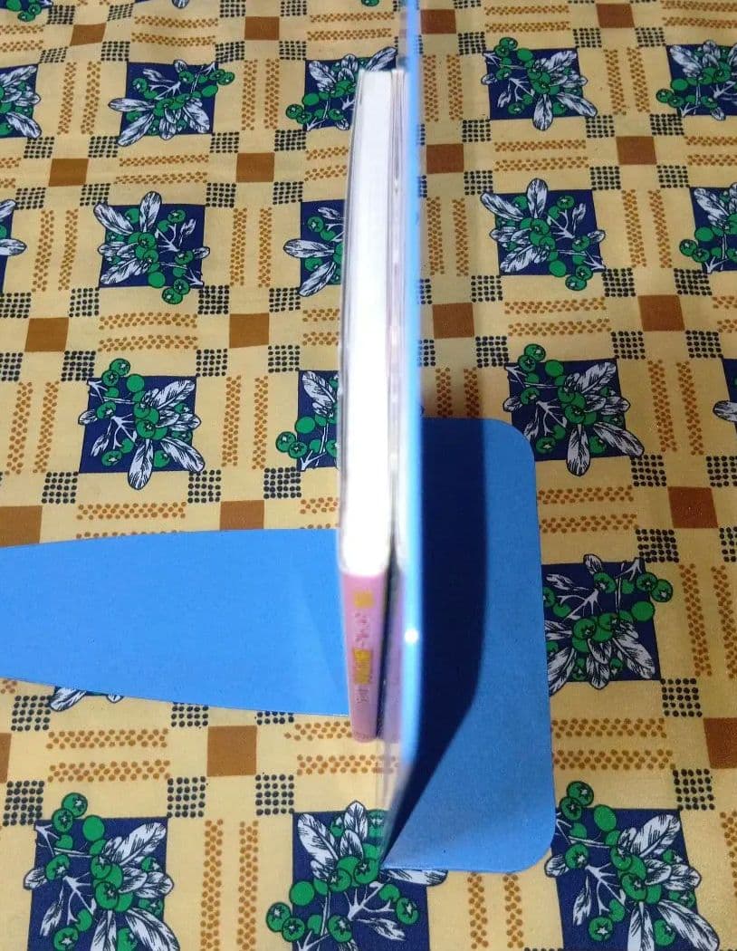 【シール未使用】 かえってきた!たまごっちプラスとあそぶほん バンダイ公式