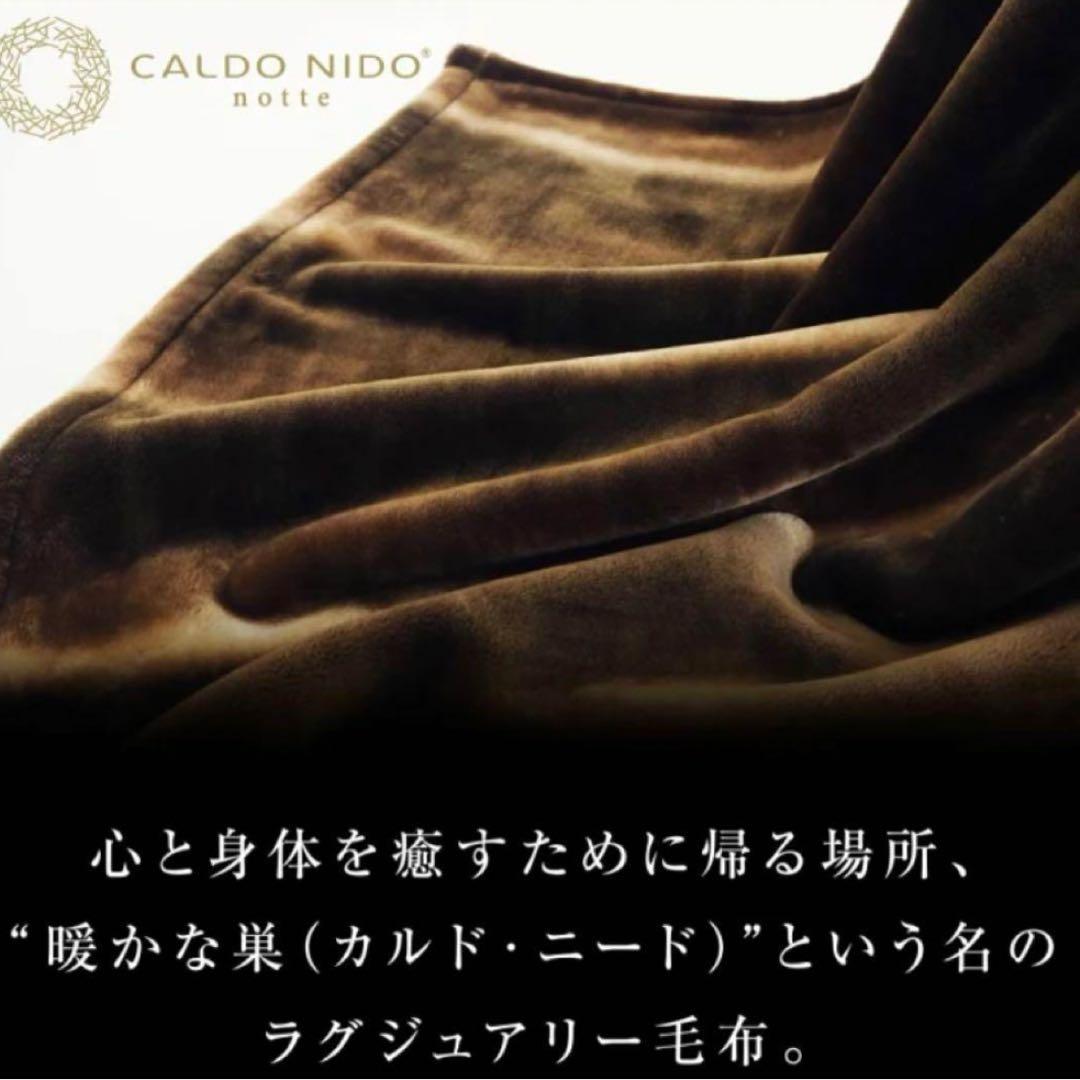 ゆき。新品！【CALDO NIDO/カルドニード】ダブル敷毛布