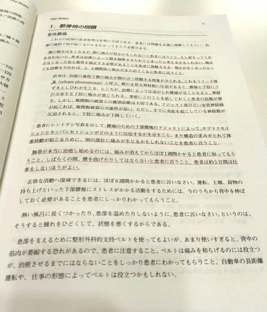 ガンステッド症状別患者管理ノート THE NOTES