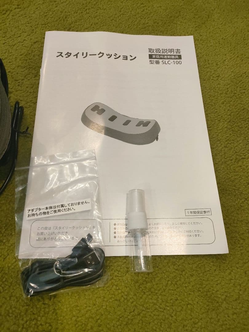 EMS フィットネスクラブがつくった スタイリークッション　ディノス