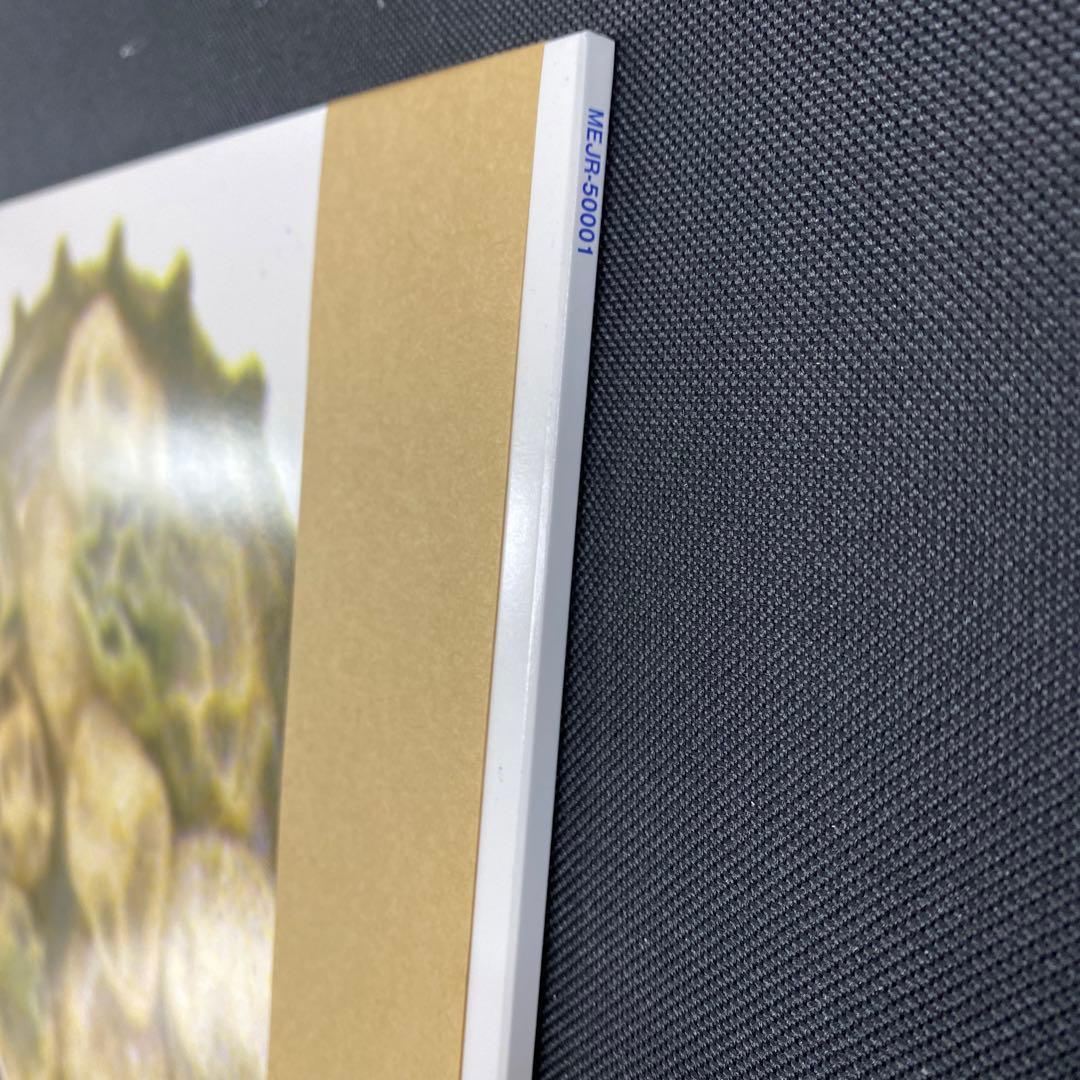 真島昌利／夏のぬけがら 12インチアナログレコード