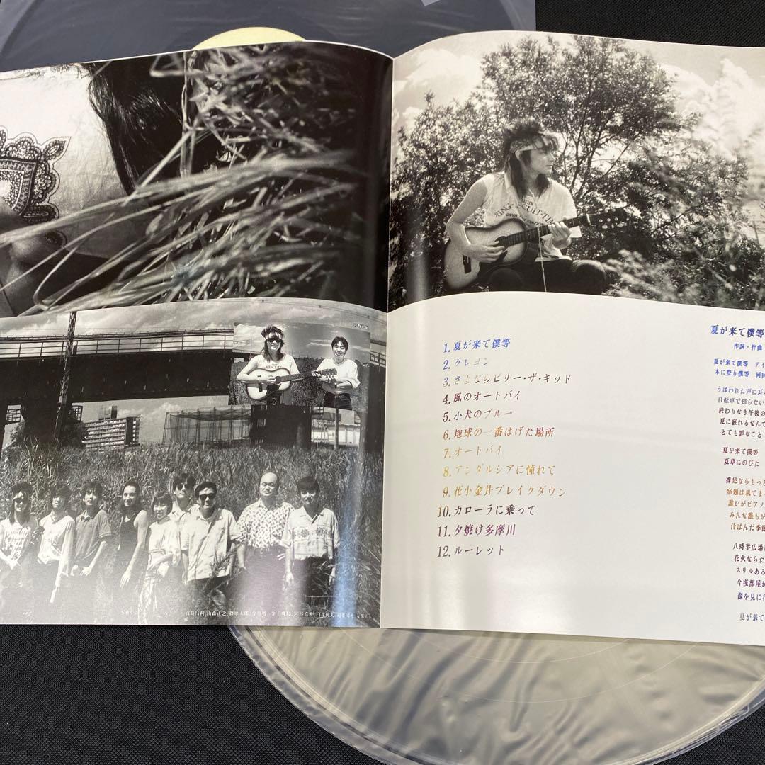 真島昌利／夏のぬけがら 12インチアナログレコード