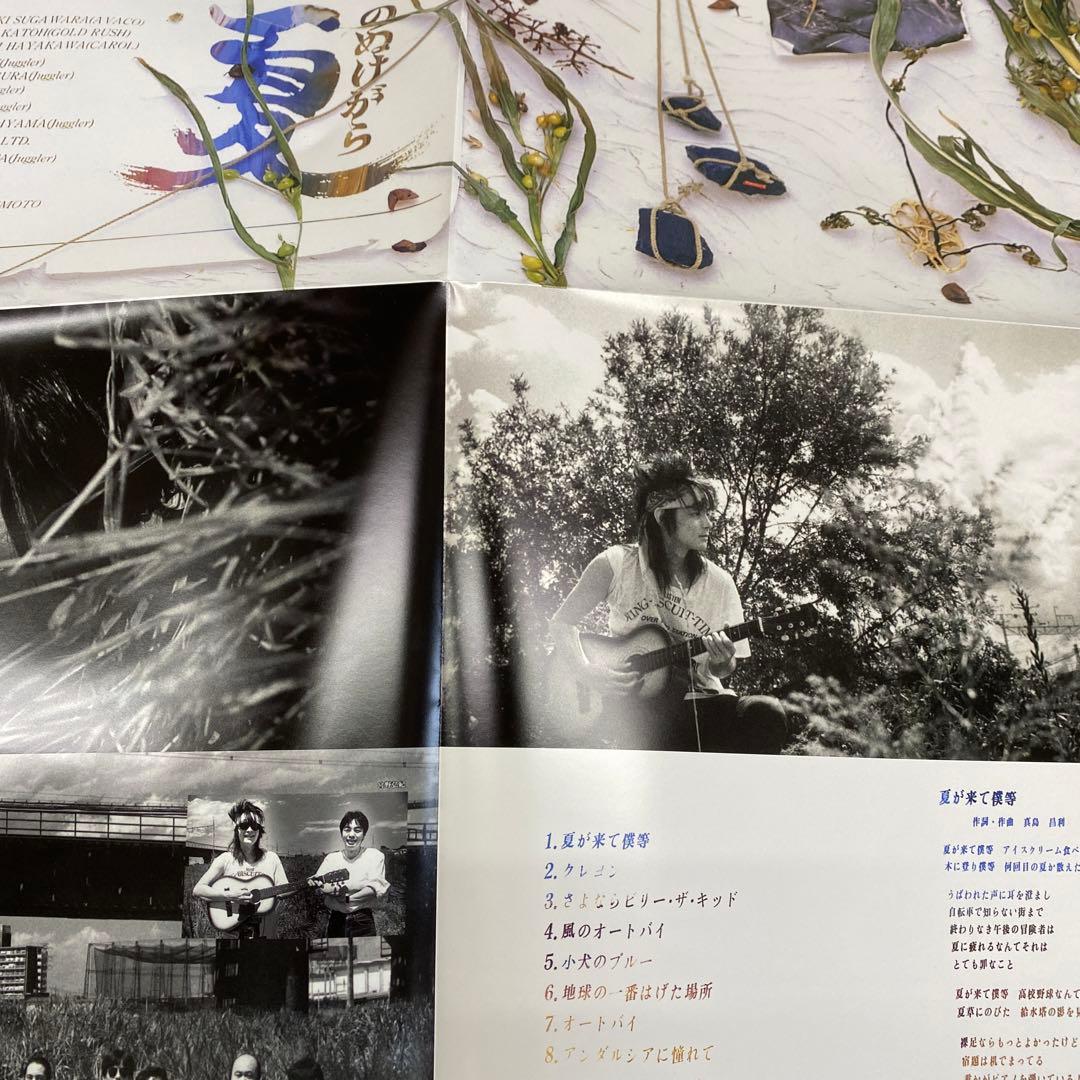 真島昌利／夏のぬけがら 12インチアナログレコード