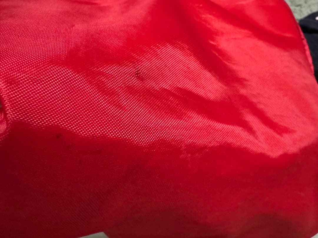 EVISU エビィス デニム ゴルフバッグ