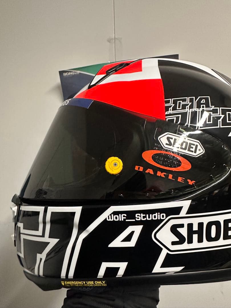 Jin SHOEI Xfifteen DIGGIA Lサイズ