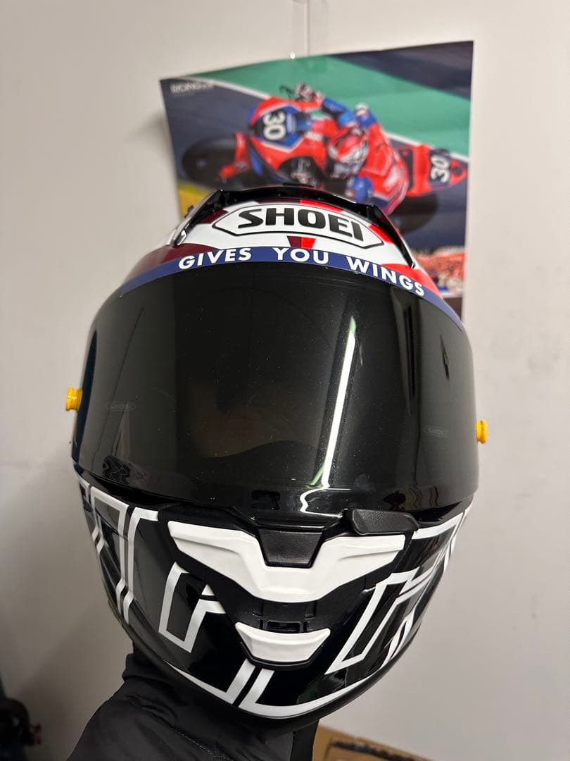 Jin SHOEI Xfifteen DIGGIA Lサイズ