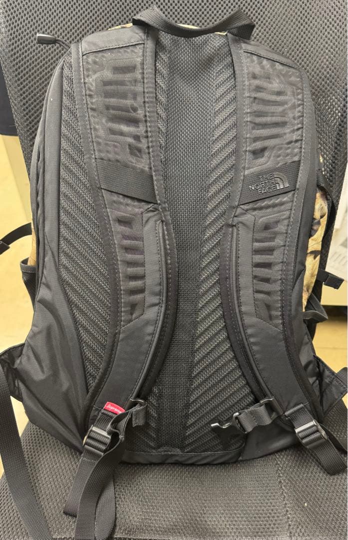 【Supreme×THE NORTH FACE 】リーフ柄バックパック
