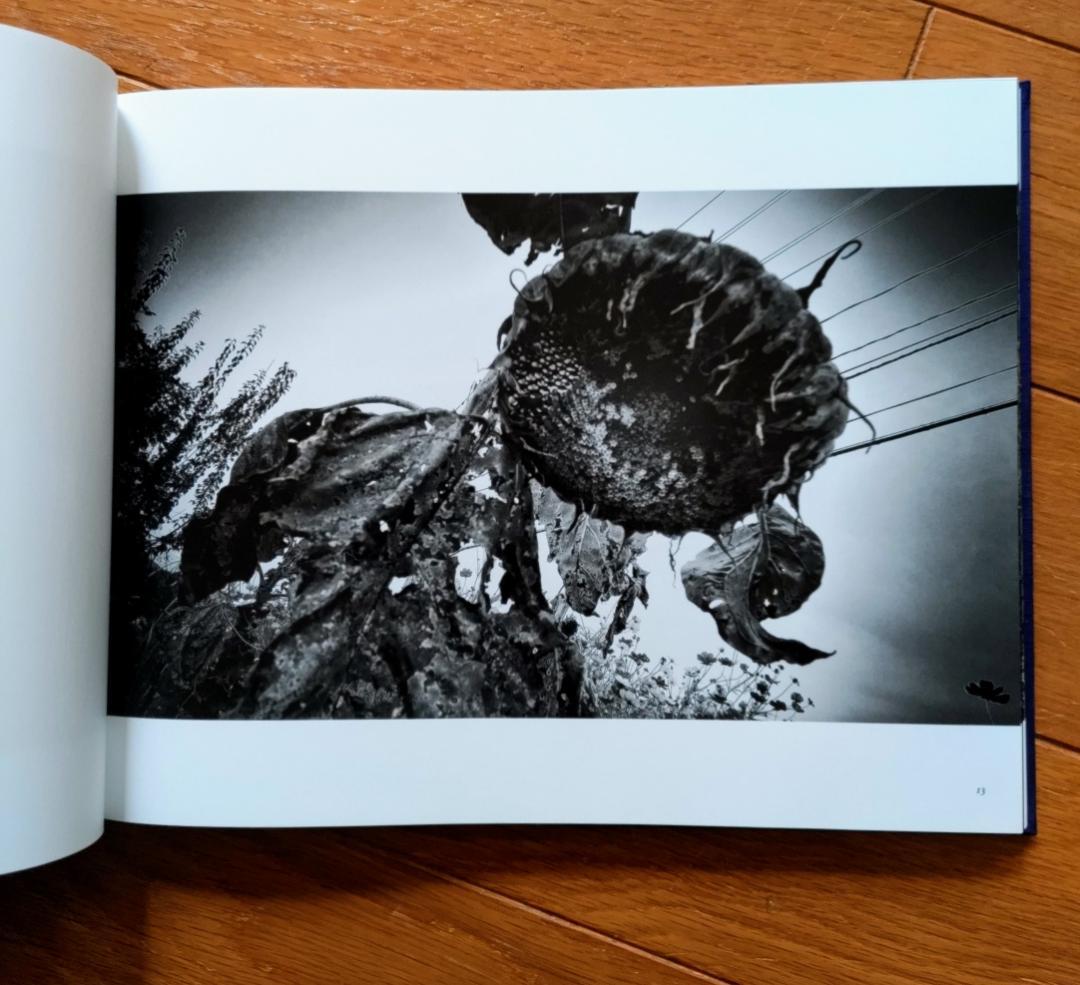 森山大道　遠野 2014（900部限定版 / A.P. 版）