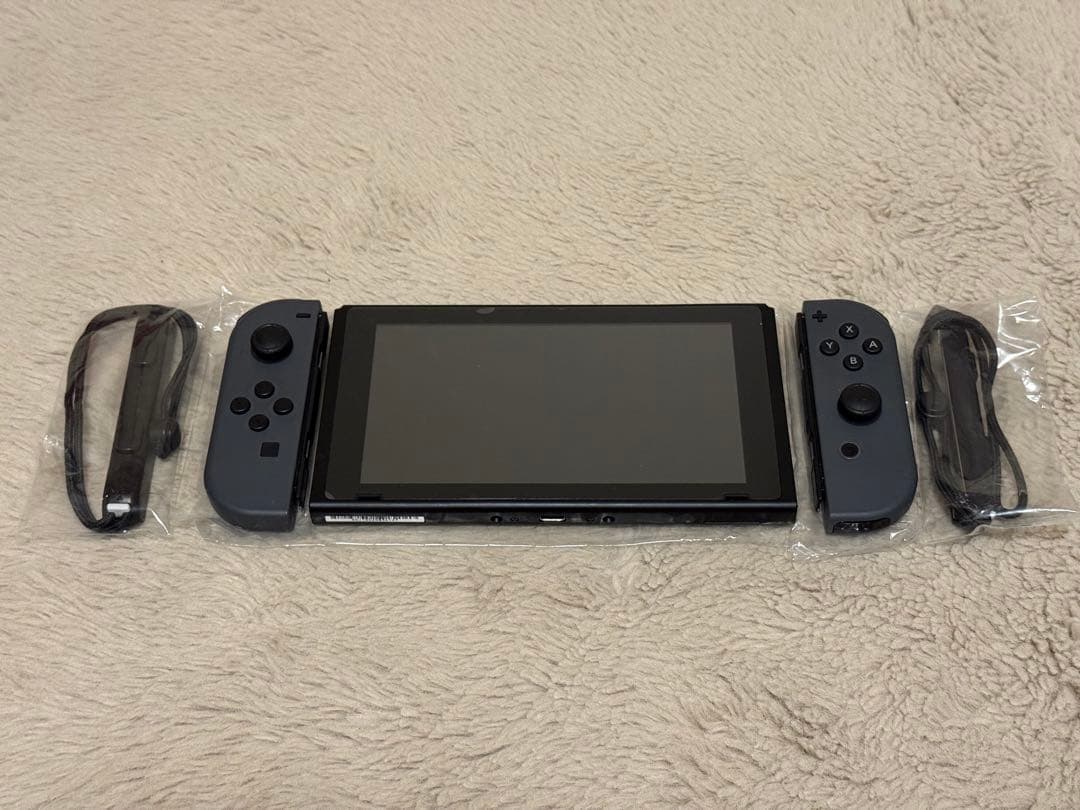 【美品】Nintendo Switch グレー +Proコンセット