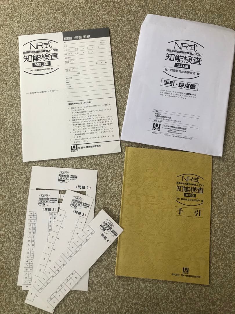 売り切り　内田クレペリン　NR式知能検査　YG性格検査　3点セット