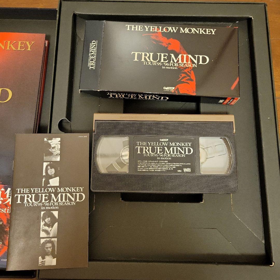 ザ・イエローモンキーTRUEMINDTOUR　95年～96年　特別BOX