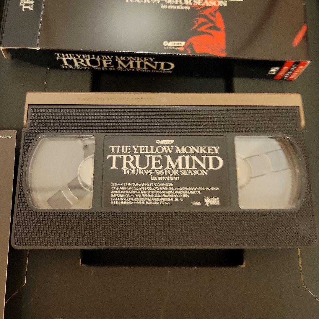 ザ・イエローモンキーTRUEMINDTOUR　95年～96年　特別BOX