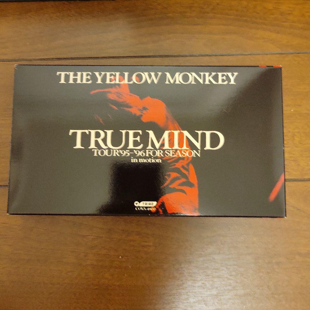 ザ・イエローモンキーTRUEMINDTOUR　95年～96年　特別BOX