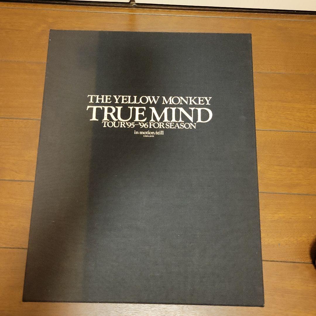 ザ・イエローモンキーTRUEMINDTOUR　95年～96年　特別BOX