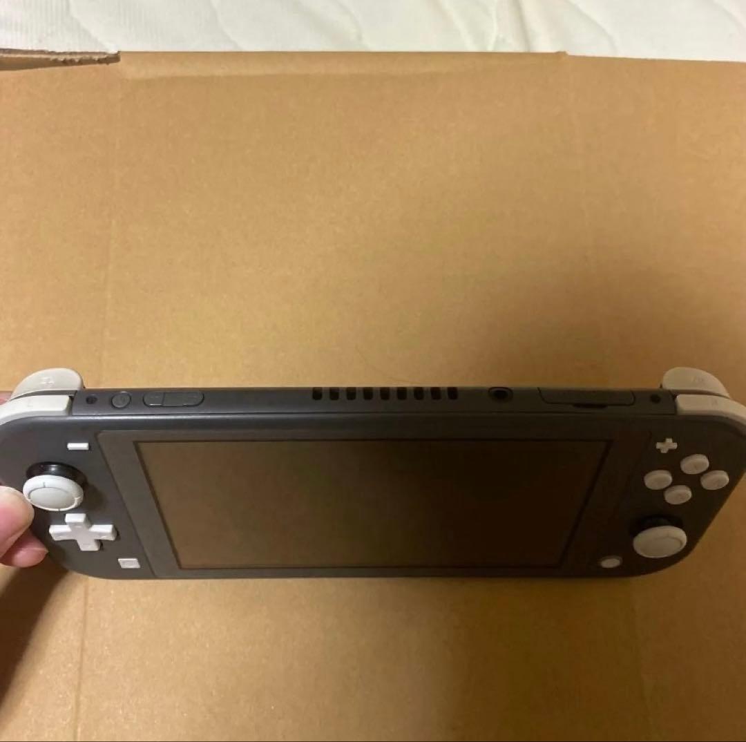 ニンテンドースイッチライトグレー　本体のみ