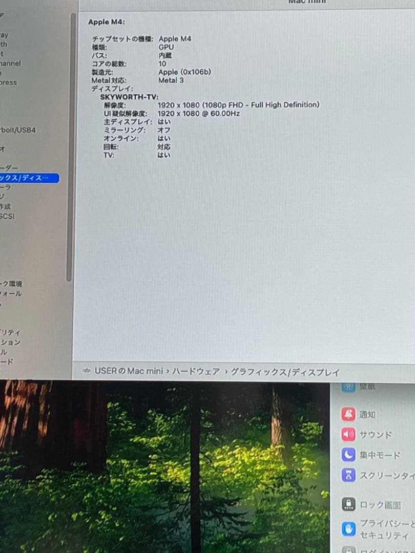 Apple M4チップ Mac mini 24GBメモリ 256GB ２０２４