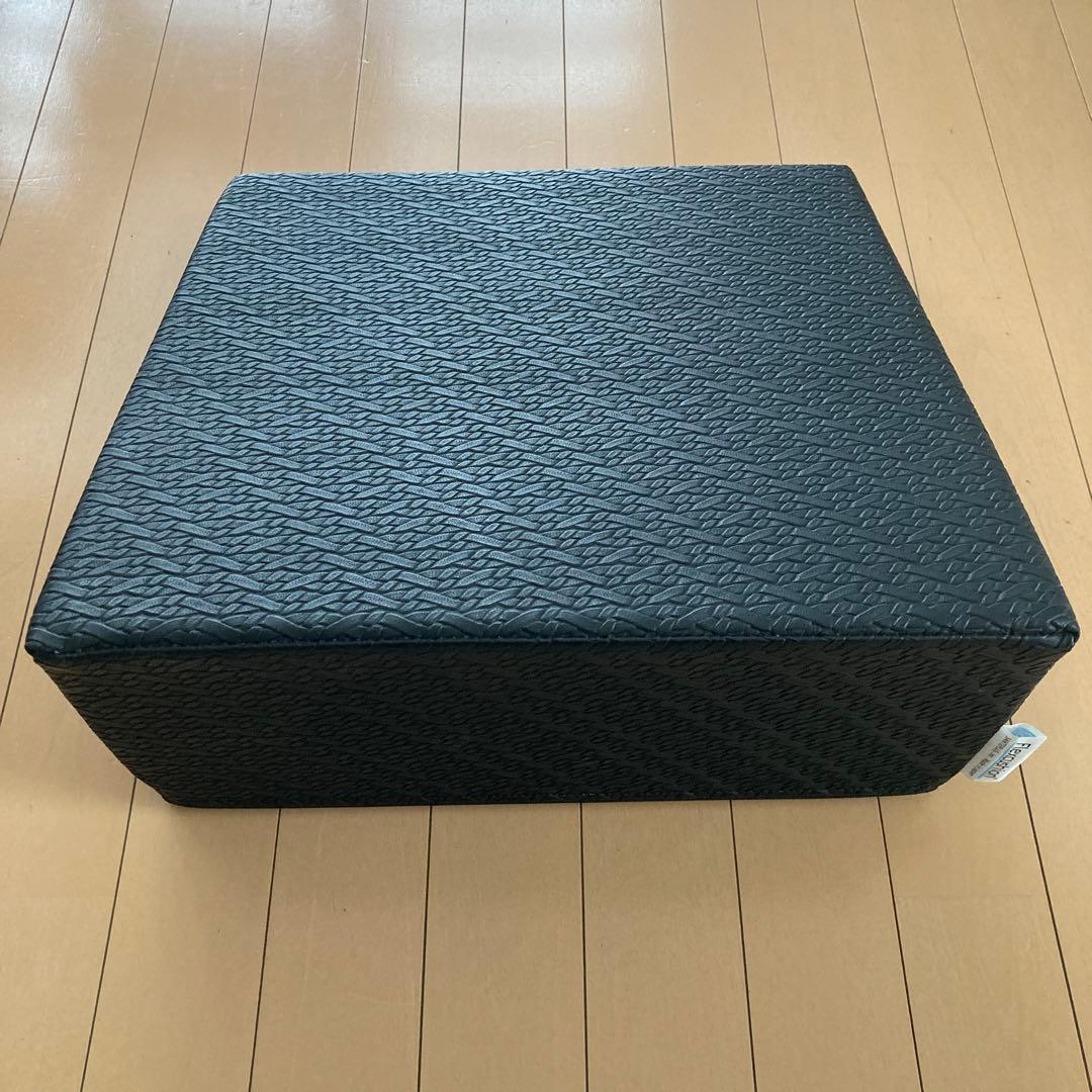 サンテプラス　フレックスクッション　トレーニング用 ブラッククッション