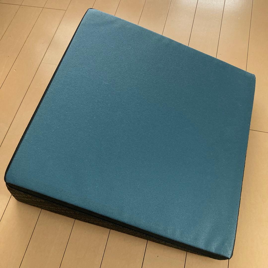 サンテプラス　フレックスクッション　トレーニング用 ブラッククッション