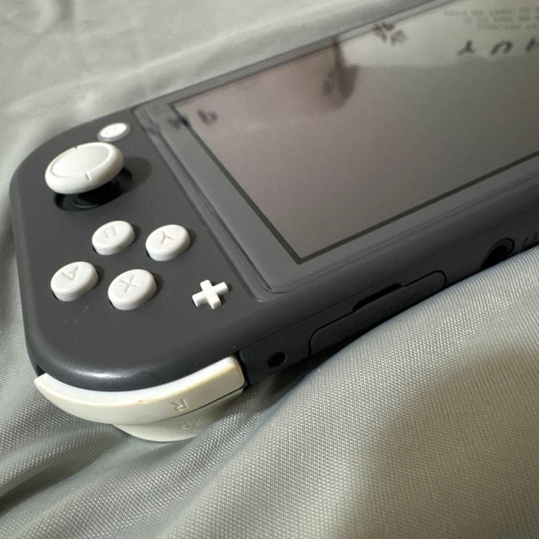 Switch ライト 本体