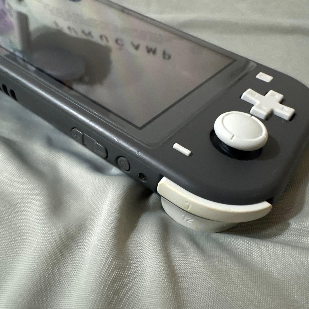 Switch ライト 本体