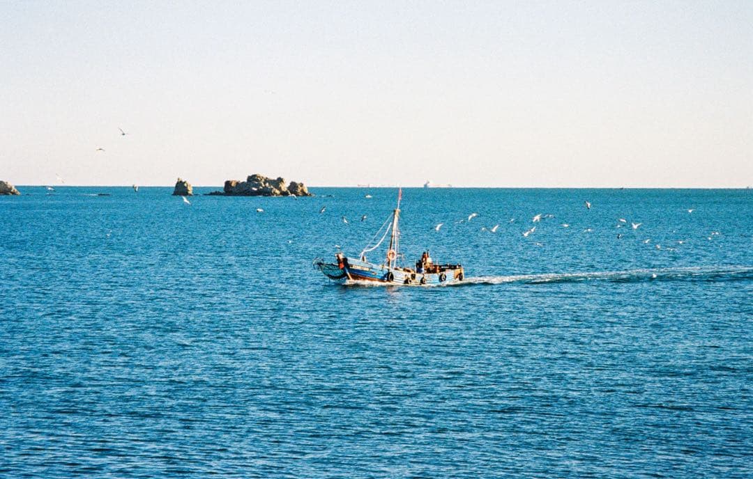 Canon AutoboyS PANORAM ❁フィルムカメラ❁