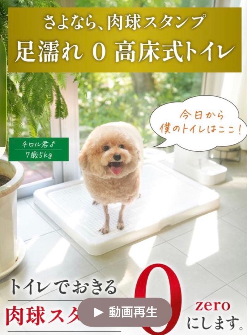 高床式トイレトレー　XXLサイズ　大型犬、多頭飼い対応