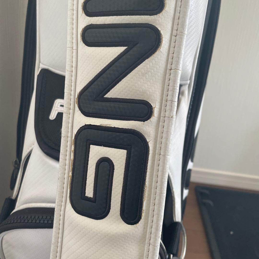 PINGツアーバック 10インチ