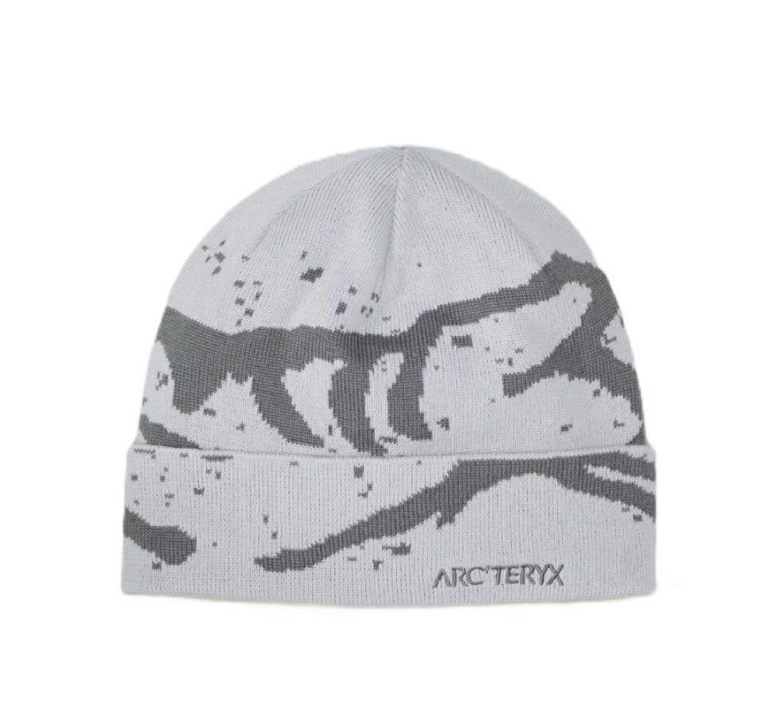 【国内正規品】2025AWカラー アークテリクス グロットトーク