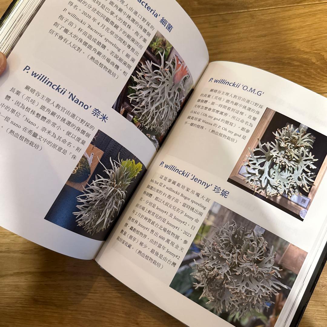 2025年3月 台湾 ビカクシダ育成・品種ガイド本 「鹿角蕨日記簿」新品未開封