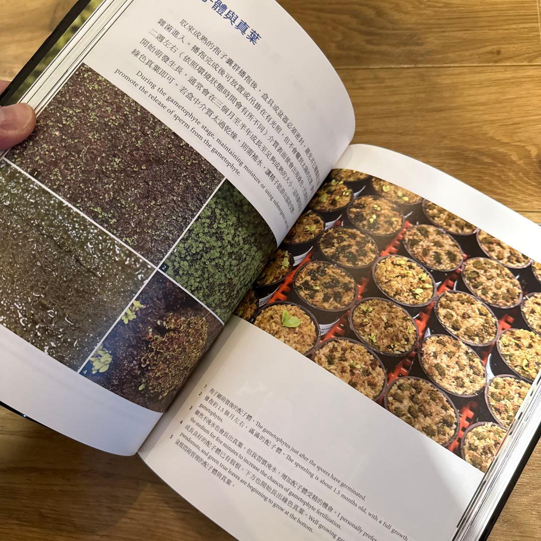 2025年3月 台湾 ビカクシダ育成・品種ガイド本 「鹿角蕨日記簿」新品未開封