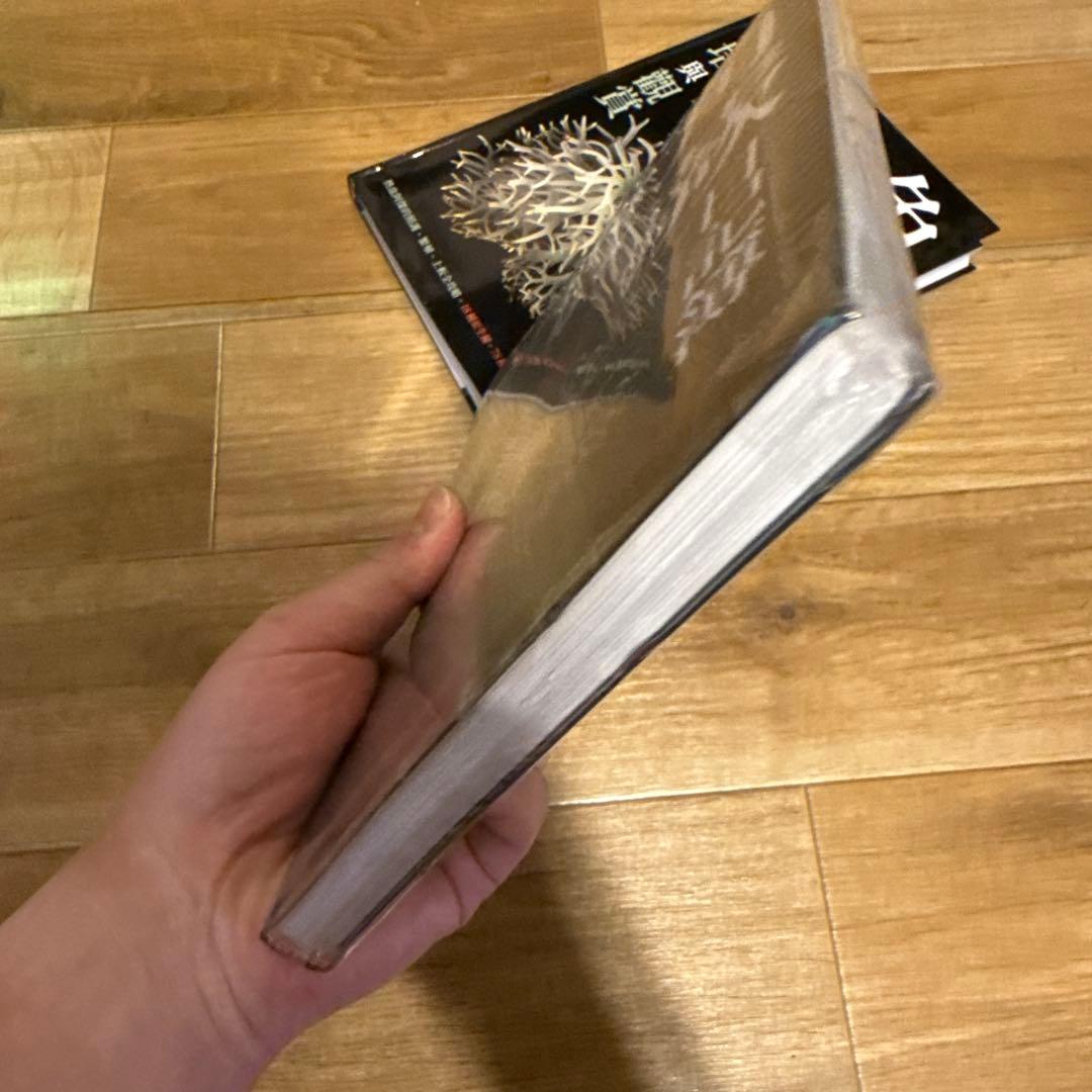 2025年3月 台湾 ビカクシダ育成・品種ガイド本 「鹿角蕨日記簿」新品未開封