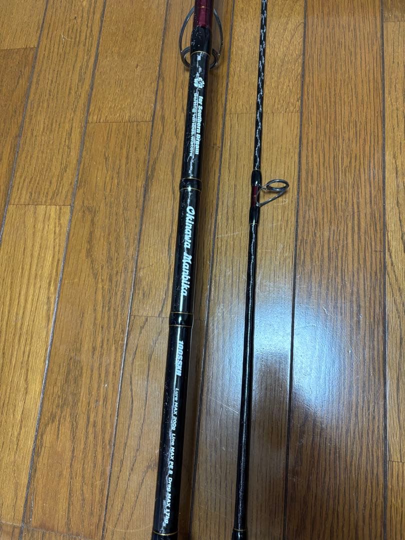 テイルウォーク オキナワマンビカ100SSXH