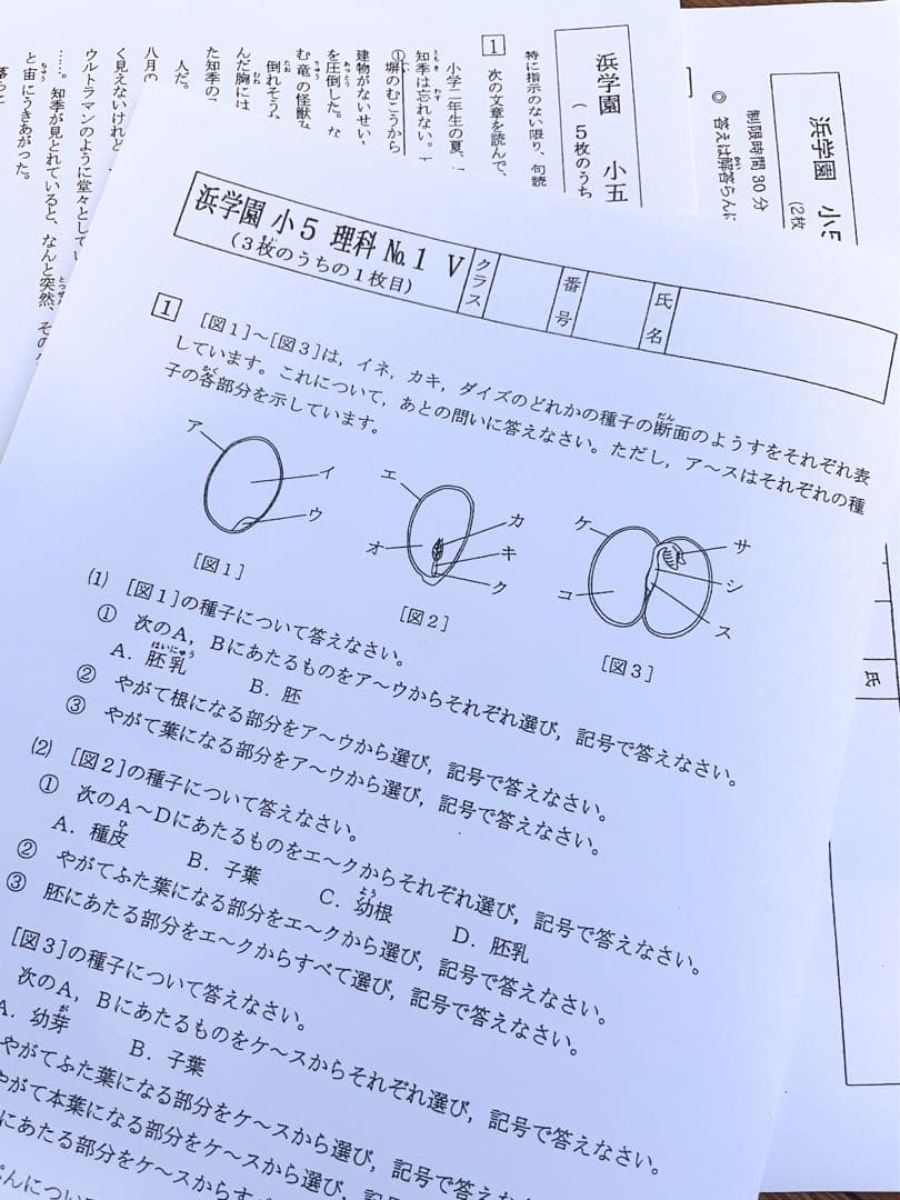 浜学園　小5 2023年度　3科目　解答用紙付　Vクラス　復習テスト 国算理