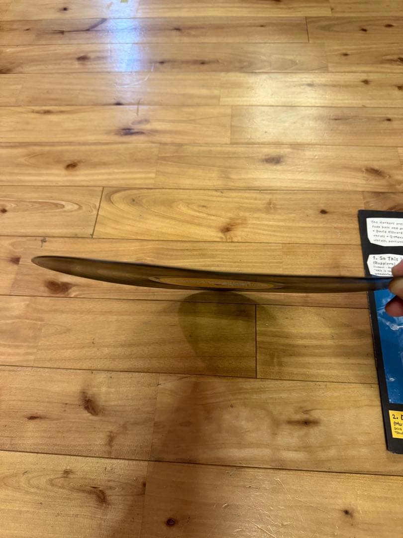 【希少】LP The Slackers - Wasted Days レコード