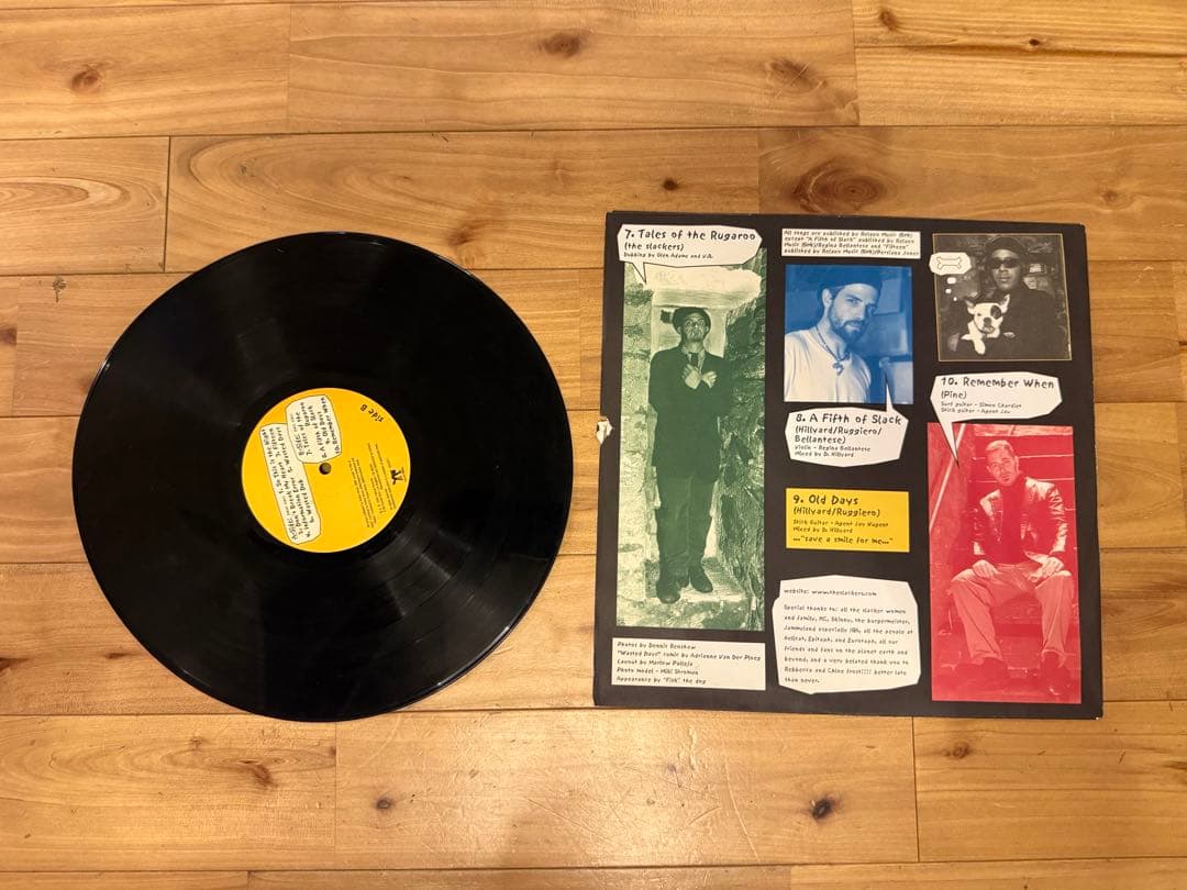 【希少】LP The Slackers - Wasted Days レコード