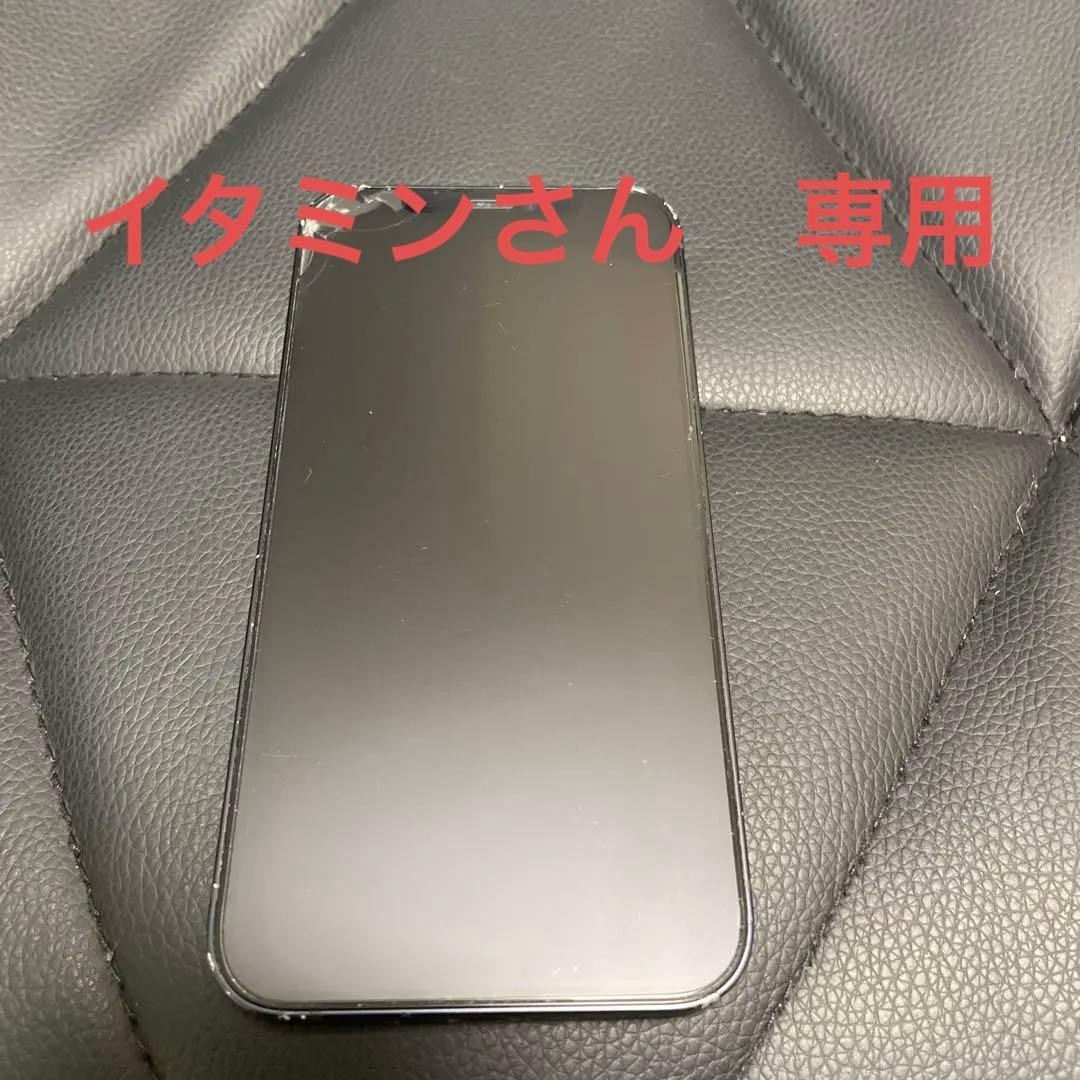 イタミンさん　専用