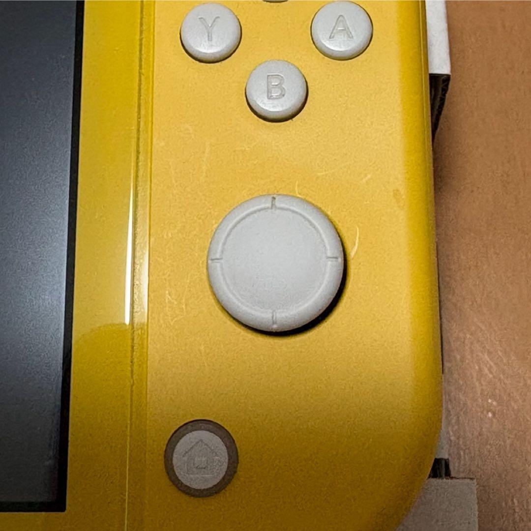 NINTENDO Switch light ニンテンドー スイッチ ライト