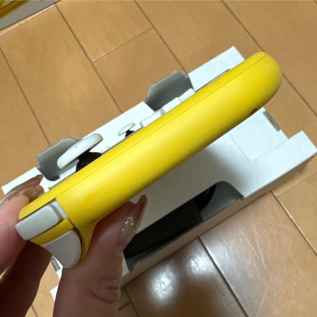 NINTENDO Switch light ニンテンドー スイッチ ライト