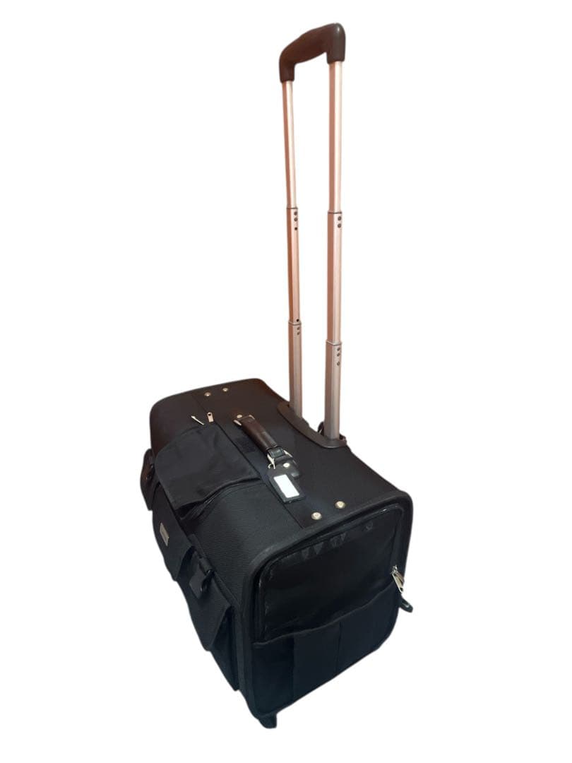 【TAKE ME】Lサイズ 犬用キャリーバッグ 中型犬 多頭飼い 新幹線OK