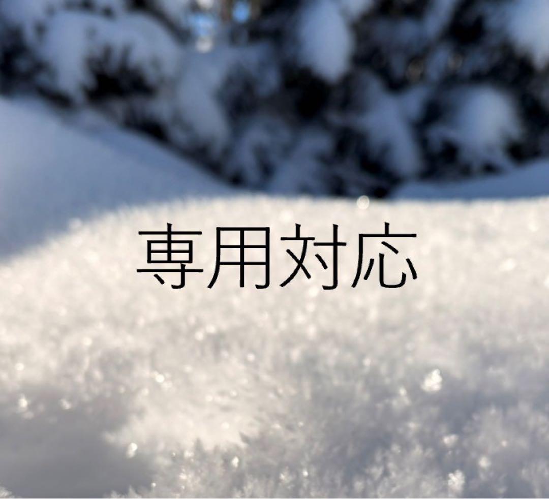 elanスキー板185 ストック付