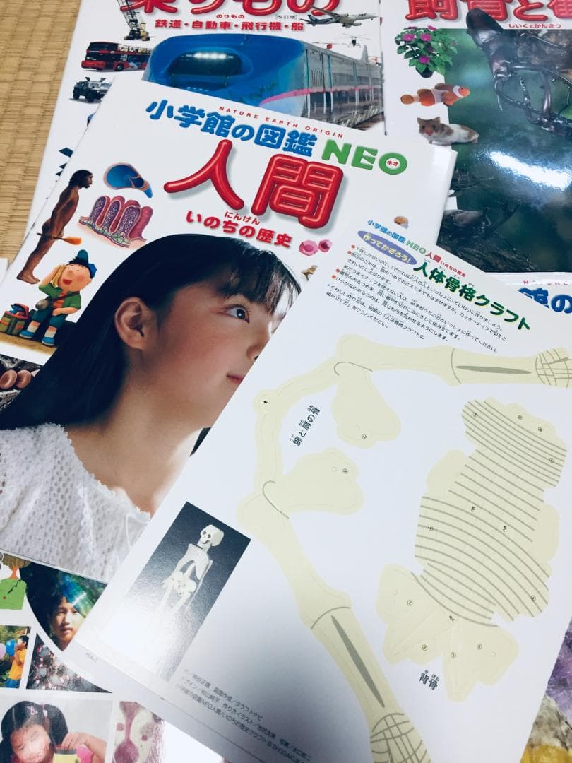 小学館の図鑑NEO 小学館の図鑑NEO 1～18巻 18冊セット